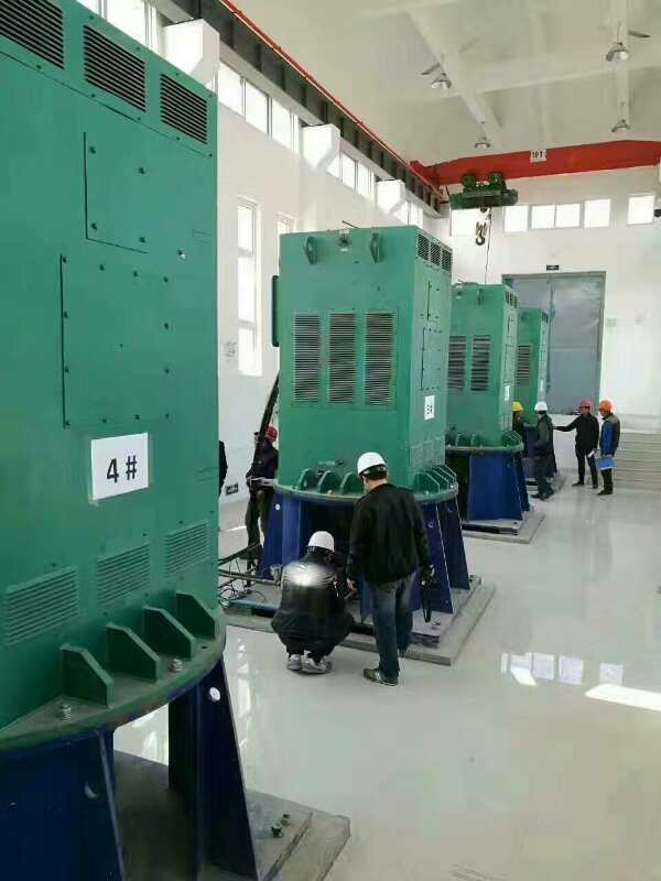 YE2-280M-8某污水处理厂使用我厂的立式高压电机安装现场