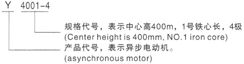 西安泰富西玛Y系列(H355-1000)高压YE2-280M-8三相异步电机型号说明